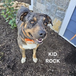 Thumbnail photo of Kid Rock #4