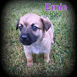 Thumbnail photo of Emie #1