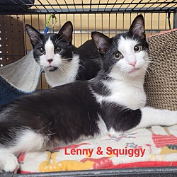 Photo of Squiggy / Lenny