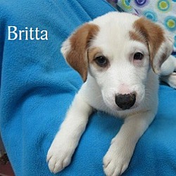 Thumbnail photo of Britta #1