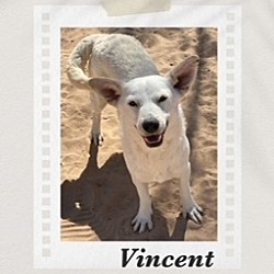 Photo of Vincent