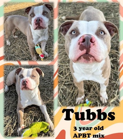 Photo of Tubbs