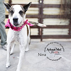 Thumbnail photo of Nina #1