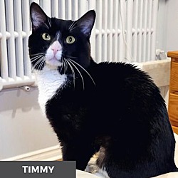 Thumbnail photo of Timmy #4