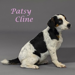 Thumbnail photo of Patsy Cline D24-142 #1