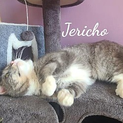 Photo of Jericho