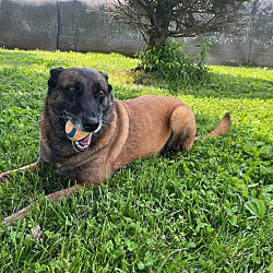 Photo of Millie