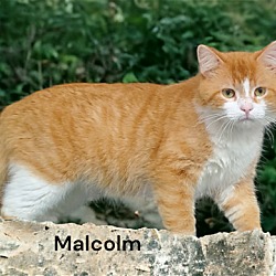 Thumbnail photo of Malcolm #3