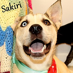 Thumbnail photo of Sakiri ~ meet me! #3