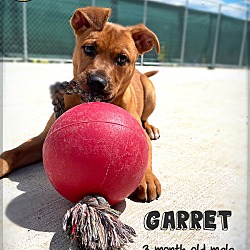 Photo of Garret