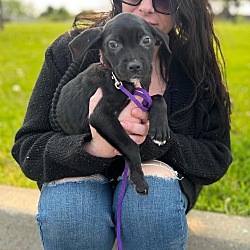 Photo of Evie