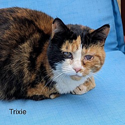 Photo of Trixie