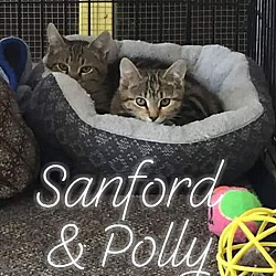 Thumbnail photo of Sanford & Polly #1