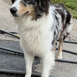 Photo of Nakita