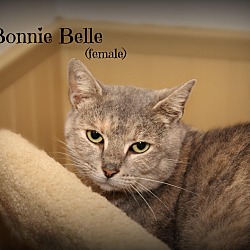 Thumbnail photo of Bonnie Bell #1