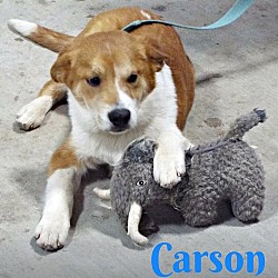 Photo of Carson