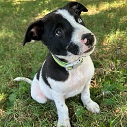 Photo of Marlo Snooty