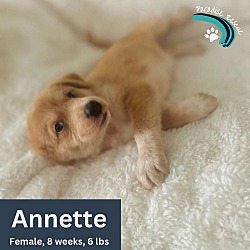 Photo of Annette (Fostered in Maryland)
