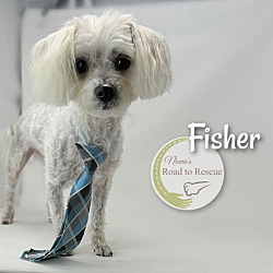 Thumbnail photo of Fisher #2