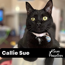 Photo of Callie Sue