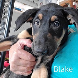 Thumbnail photo of Blake #3