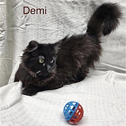 Photo of Demi