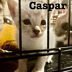 Photo of Caspar