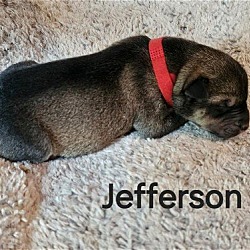 Photo of Jefferson
