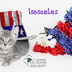 Photo of Isosceles