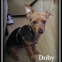 Thumbnail photo of Doby #1