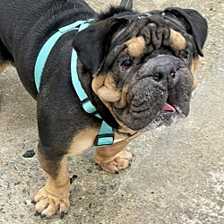 Photo of Gert