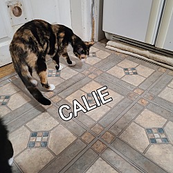 Photo of CALLIE