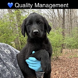 Thumbnail photo of Quality Management #3
