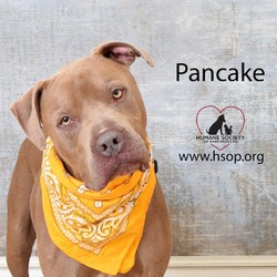 Thumbnail photo of Pancake #2