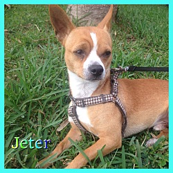 Thumbnail photo of Jeter #1