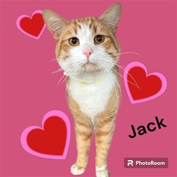 Photo of JACK