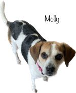Photo of Molly #25