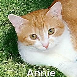 Thumbnail photo of Annie #1