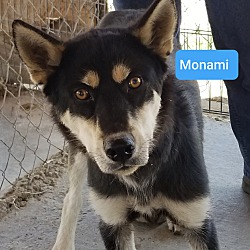 Photo of Monami