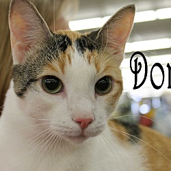 Thumbnail photo of Dora #1