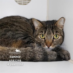 Photo of SAMMIE