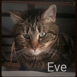 Photo of Eve