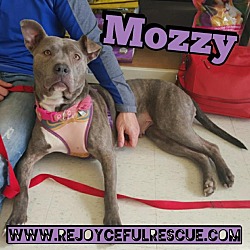 Photo of Mozzy