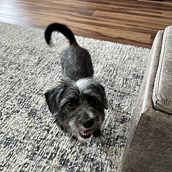 Photo of Zenny