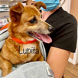 Photo of Lupita
