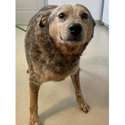 Photo of *TELLY