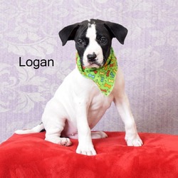 Photo of Logan