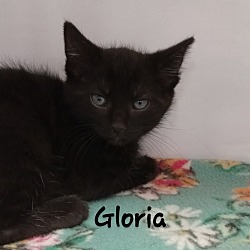 Photo of Gloria