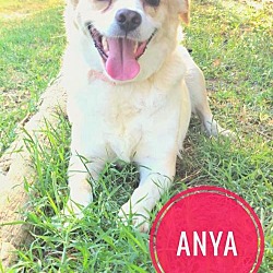 Photo of Anya