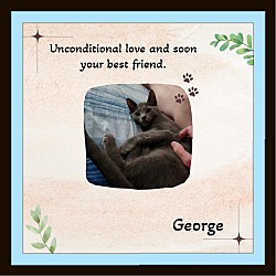 Thumbnail photo of George & Ping Pong #2